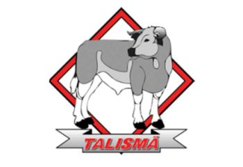 Talisma